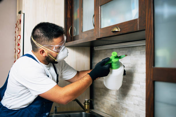 Trusted Midway, UT Pest Control Experts