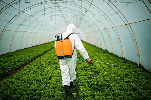 Best Local Pest Control Services  in Midway, UT