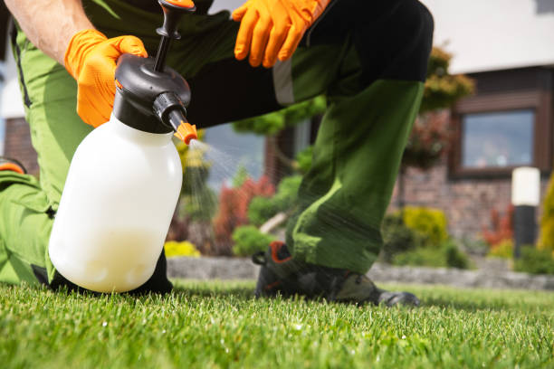 Best Pest Control for Homes  in Midway, UT