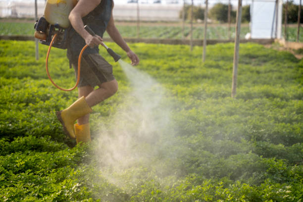 Insect Control in Midway, UT