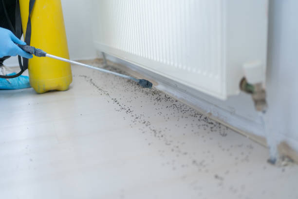 Best Insect Control  in Midway, UT